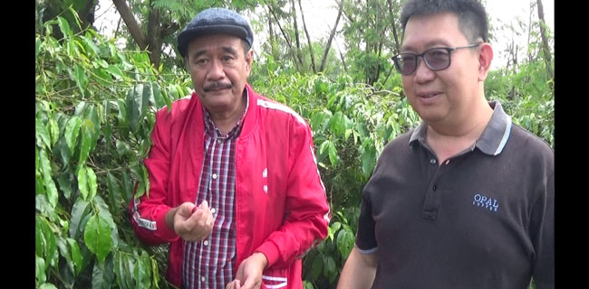 Permintaan Tinggi, Sayangnya Ekspor Kopi Sumut Masih Minim
