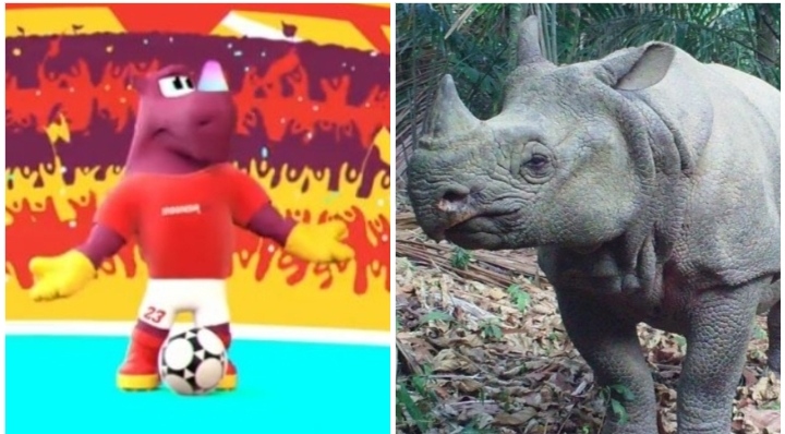 Bacuya Si Badak Jawa, Maskot Piala Dunia U-20 2023 Indonesia Resmi Rilis