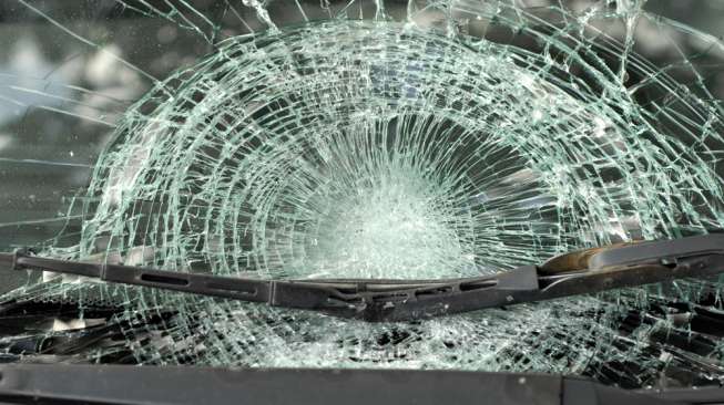 Bus ‘Laga Kambing’ di Jalinsum Rokan Hilir