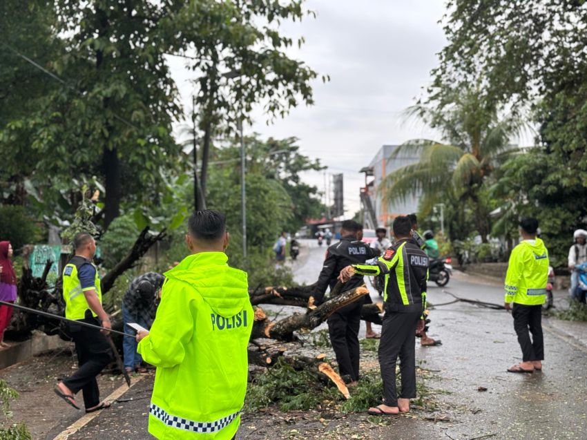 Anggota Polisi di Manggarai Barat Kembali Bersihkan Pohon Tumbang di Labuan Bajo
