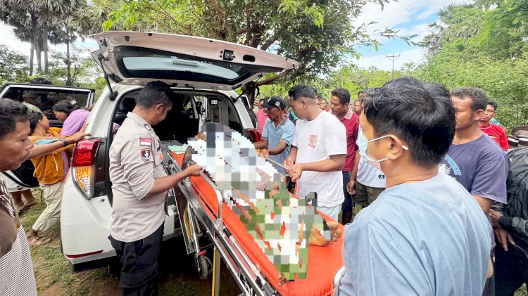 Tabrak Dump Truk Yang Sedang Parkir, Pengendara Sepeda Motor di Rote Ndao Meninggal Dunia